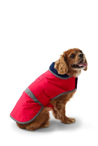 dog squall jacket