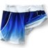 Women's 5" Board Shorts with Panty, alternative image