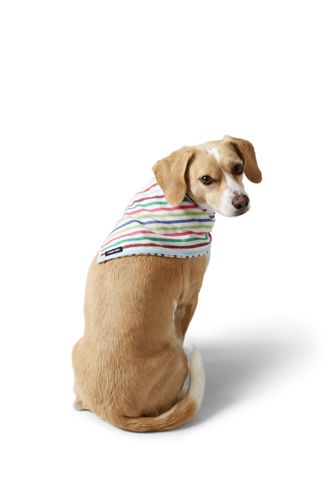 lands end dog puffer vest