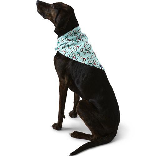 Dog bandanna fits over collar so cute… sizes vary