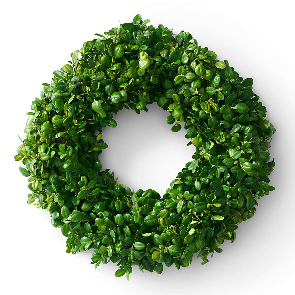Teufel 18 in Fresh Boxwood Christmas Wreath, Front
