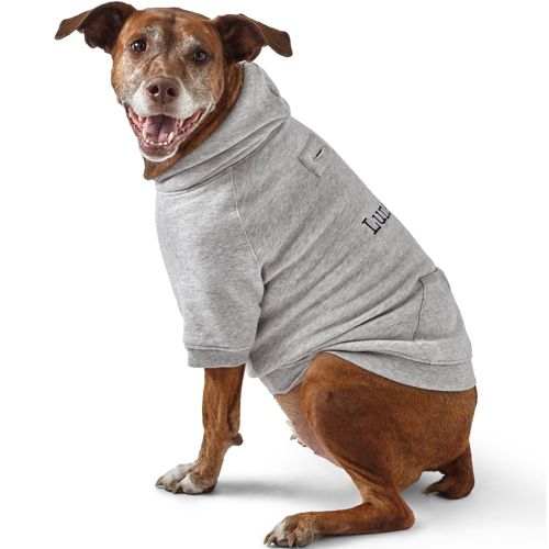 Lands end outlet dog raincoat