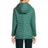 Women's Wanderweight Packable Down Hooded Long Jacket, Back