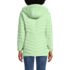 Women's Wanderweight Packable Down Hooded Long Jacket, Back