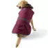 Dog Expedition Winter Jacket, Front