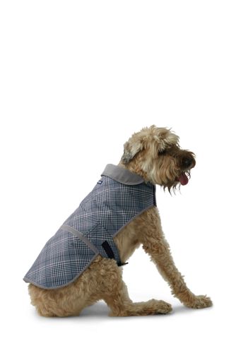 dog squall jacket