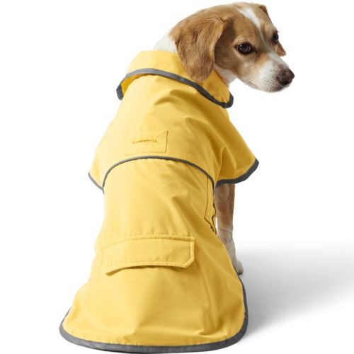 Dog in outlet raincoat