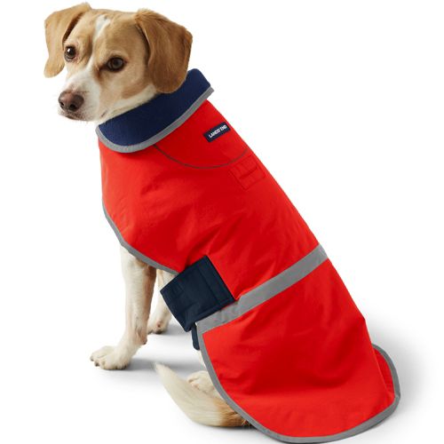 manteau chien orange