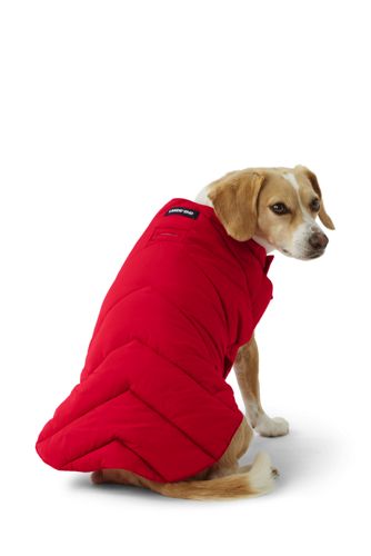 Heatkeep dog puffer shop vest