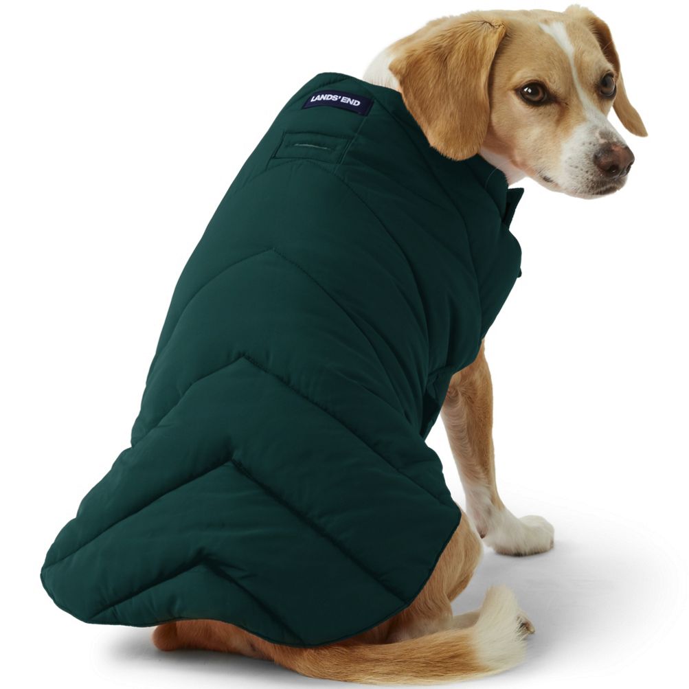 Lands end 2025 dog jacket