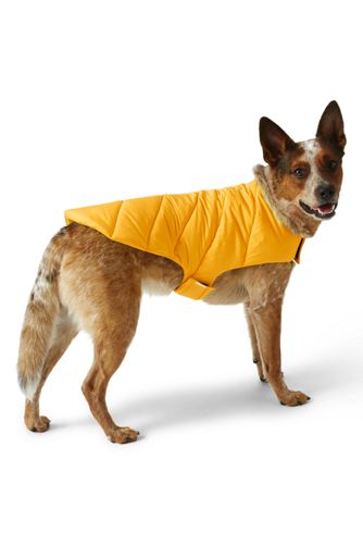 Lands end 2024 dog coat