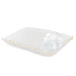 Sensorpedic Essential Stomach Sleeper Pillow, Front