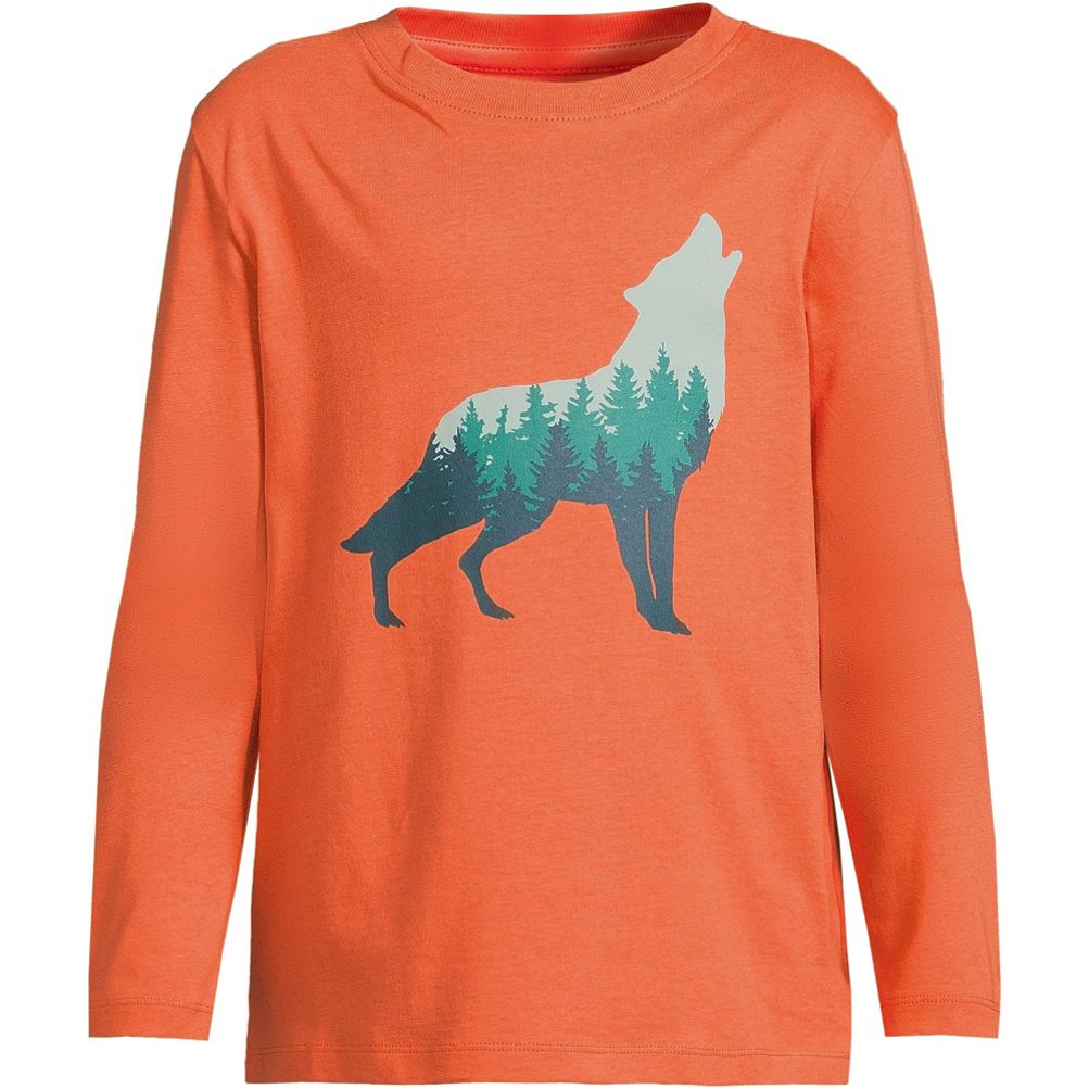 Boys long sleeve graphic hot sale tees