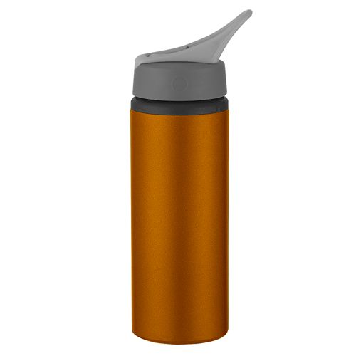 Stainless Steel Thermal Bottle with THERMALOCK™, 25oz