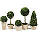 Napa Home and Garden Artificial Boxwood Potted Topiaries Set Of 5, Front
