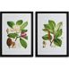 Napa Home and Garden Magnolia Prints Set Of 2, Front