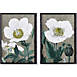 Napa Home and Garden Poppy Prints Set Of 2, Front