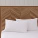Charisma Lux Down Medium Pillows - 2 pack, alternative image