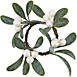 Saro Lifestyle Mistletoe 4 inch Napkin Rings, Front