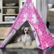 Merry Products Puzzle Print Pet Teepee, alternative image