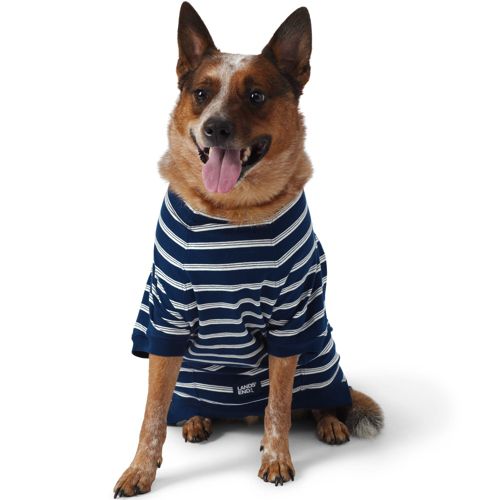 Lands end dog hot sale clothes