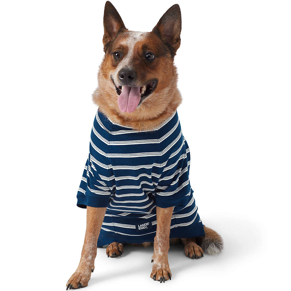 PETCARE Dog Hoodies Pet Small Dog Sweater Blue Warm Soft Fleece Sweatshirts  with Pocket Winter Puppy