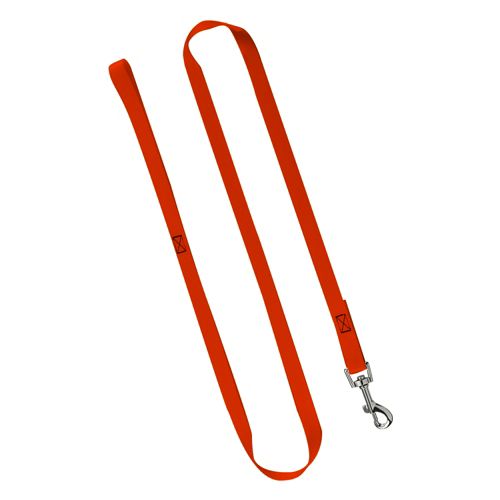 3/4 inch Nylon Custom Logo Cat and Dog Leash with Snap Hook