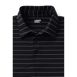 Men's Rapid Dry Short Sleeve Striped Polo Shirt, alternative image