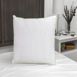 BioPedic Gusseted Antimicrobial Pillows with Nanotex Coolest Comfort Technology - Set of 2, alternative image
