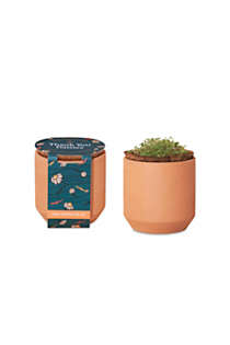 Modern Sprout Custom Logo Tiny Terracotta Grow Kit Thank You Daisies