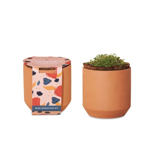 Modern Sprout Custom Logo Tiny Terracotta Grow Kit Champagne Poppies