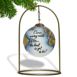 Inner Beauty Travel Globe Glass Ornament, alternative image