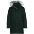 Men's Expedition Waterproof Down Parka, Front