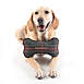 Carolina Pet Company Pendleton Plaid Throw and Bone Dog Toy Set, alternative image