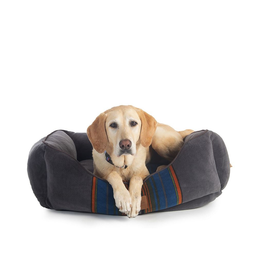 Pendleton dog outlet bed