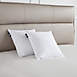 Serta Cotton Feather Medium Firm Decorative Pillow Insert 2 Pack, Front