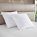 Martha Stewart European Square Feather Firm Pillow 2 Pack, Front