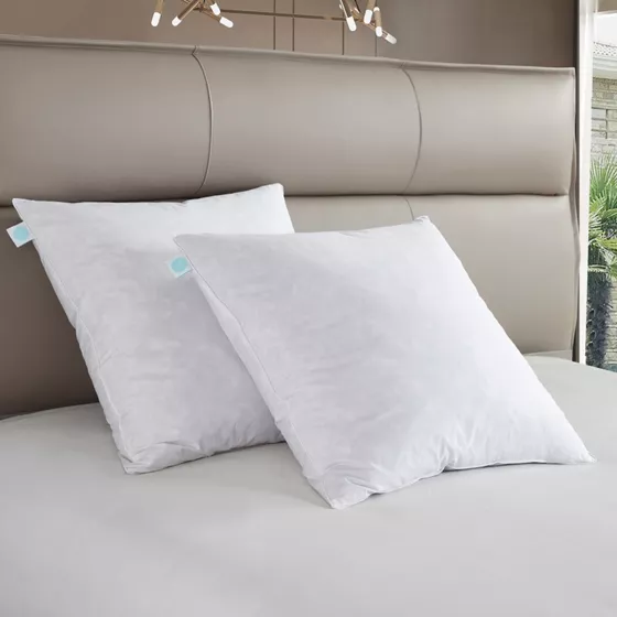 Martha Stewart European Square Feather Firm Pillow 2 Pack - primary