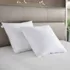 Martha Stewart European Square Feather Firm Pillow 2 Pack, alternative image