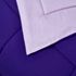 Blue Ridge Home Fashions Reversible Down Alternative Comforter, alternative image