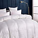 Blue Ridge Home Fashions Windowpane Duraloft Down Alternative Cotton Comforter, alternative image