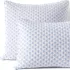 Printed Seed Stitch Sham, Front