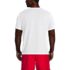 Men's Big and Tall SunShade UPF 50 Short Sleeve Swim Tee Cooling Rash Guard, Back