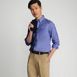 Men's Tailored Fit No Iron Solid Supima Cotton Oxford Dress Shirt, alternative image