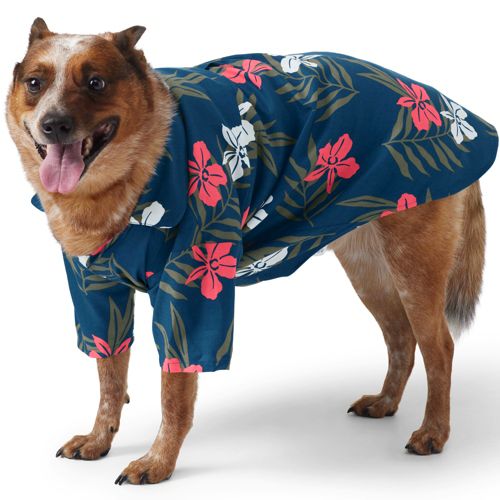 Dog shop aloha shirt