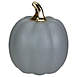 Northlight 7" Gray and Gold Ceramic Pumpkin Table Top Decoration, Front