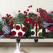Northlight Red and Green Ornament and Gift Christmas Stocking Holder - Set of 2, alternative image
