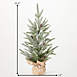 Sullivans 25.5" Artificial Pine Christmas Tree with Burlap Sack Base, alternative image