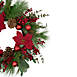 Northlight 28" Artificial Red Berry and Poinsettia Christmas Wreath, alternative image