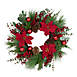 Northlight 28" Artificial Red Berry and Poinsettia Christmas Wreath, Front